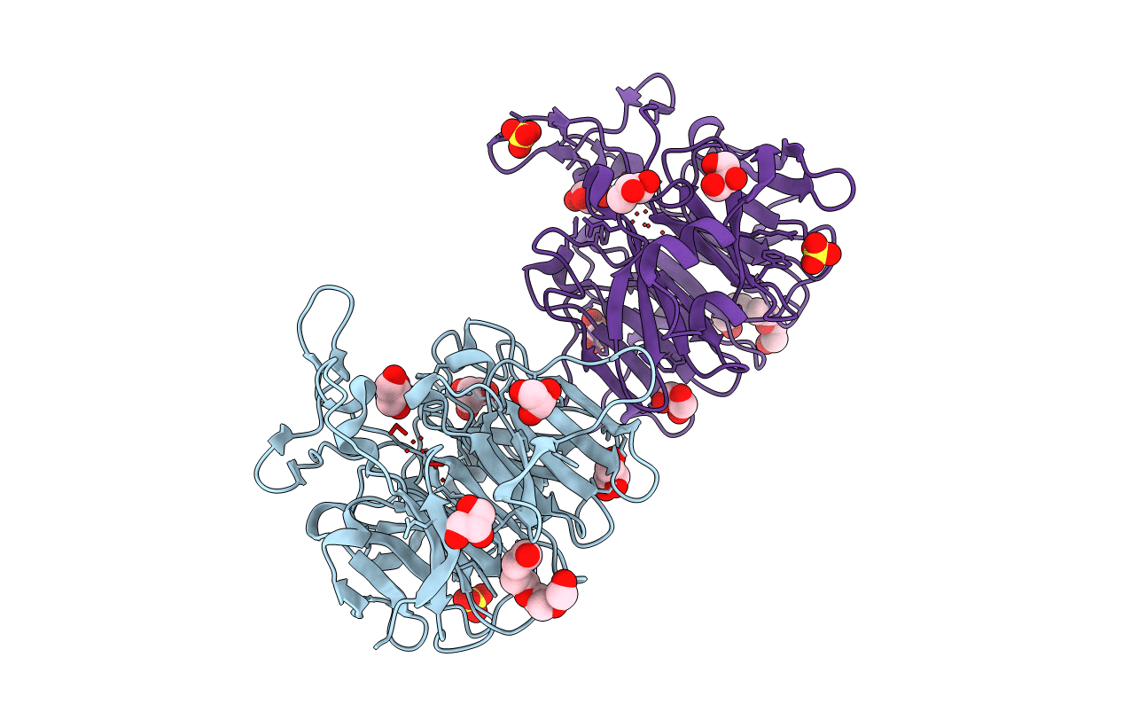 2QE8 image