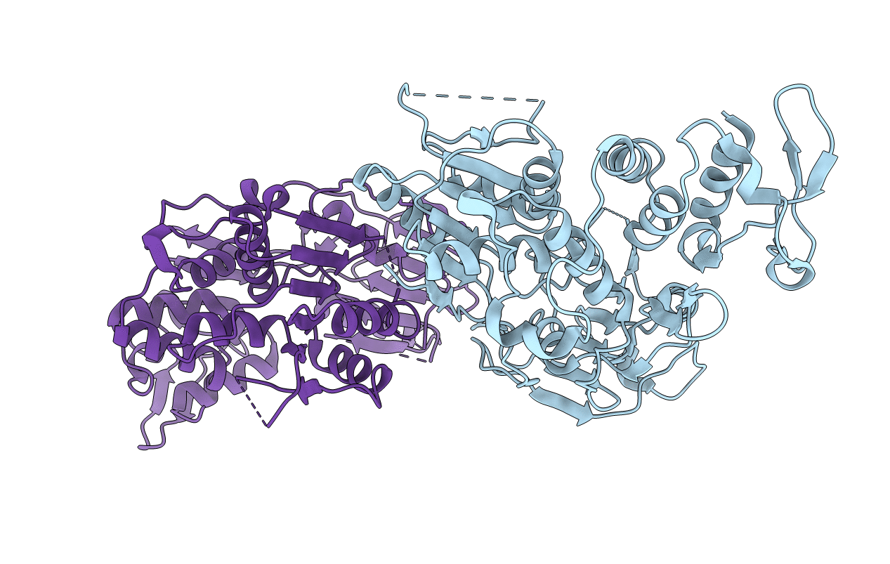 2QEQ image