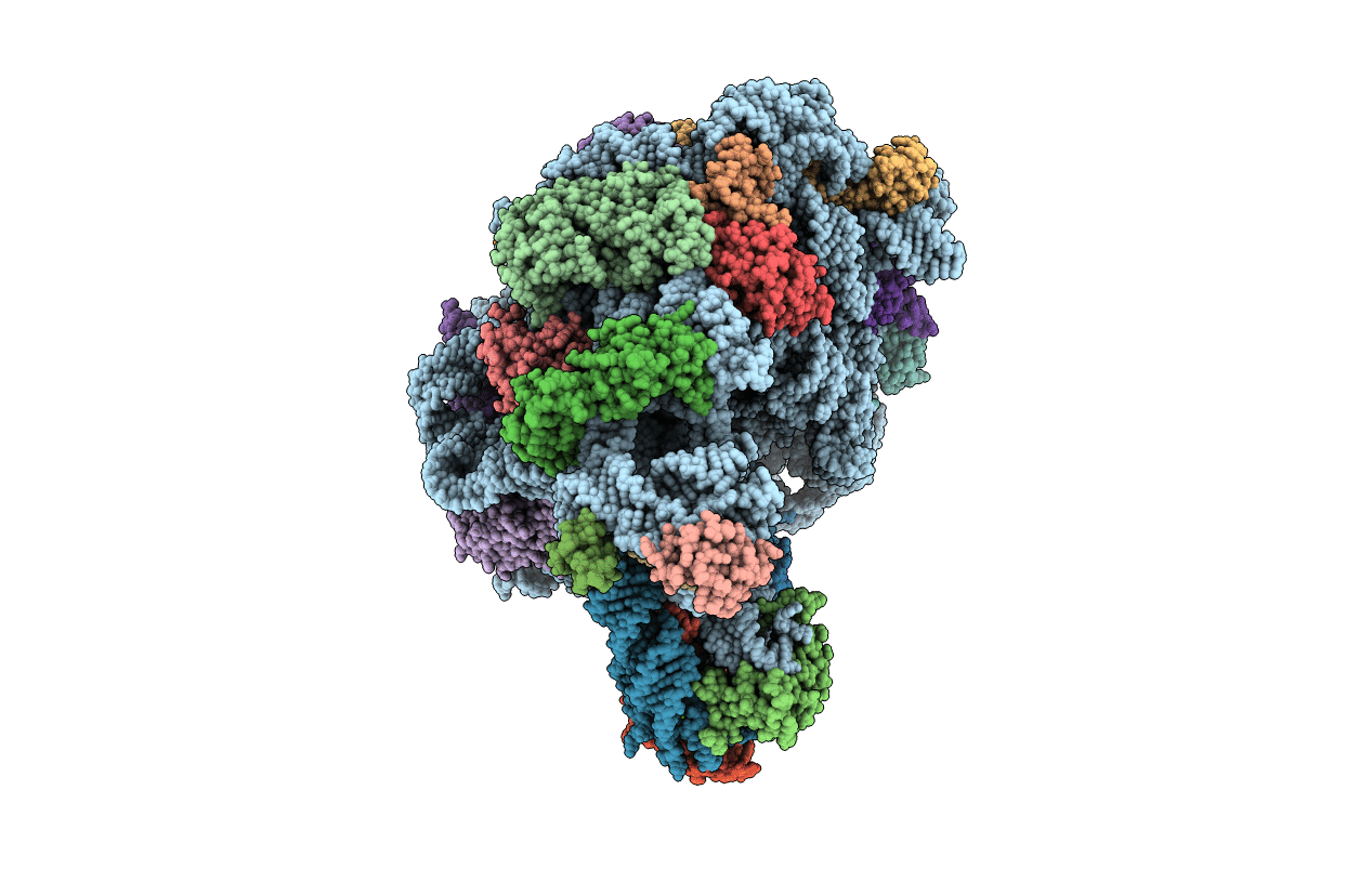 2QEX image