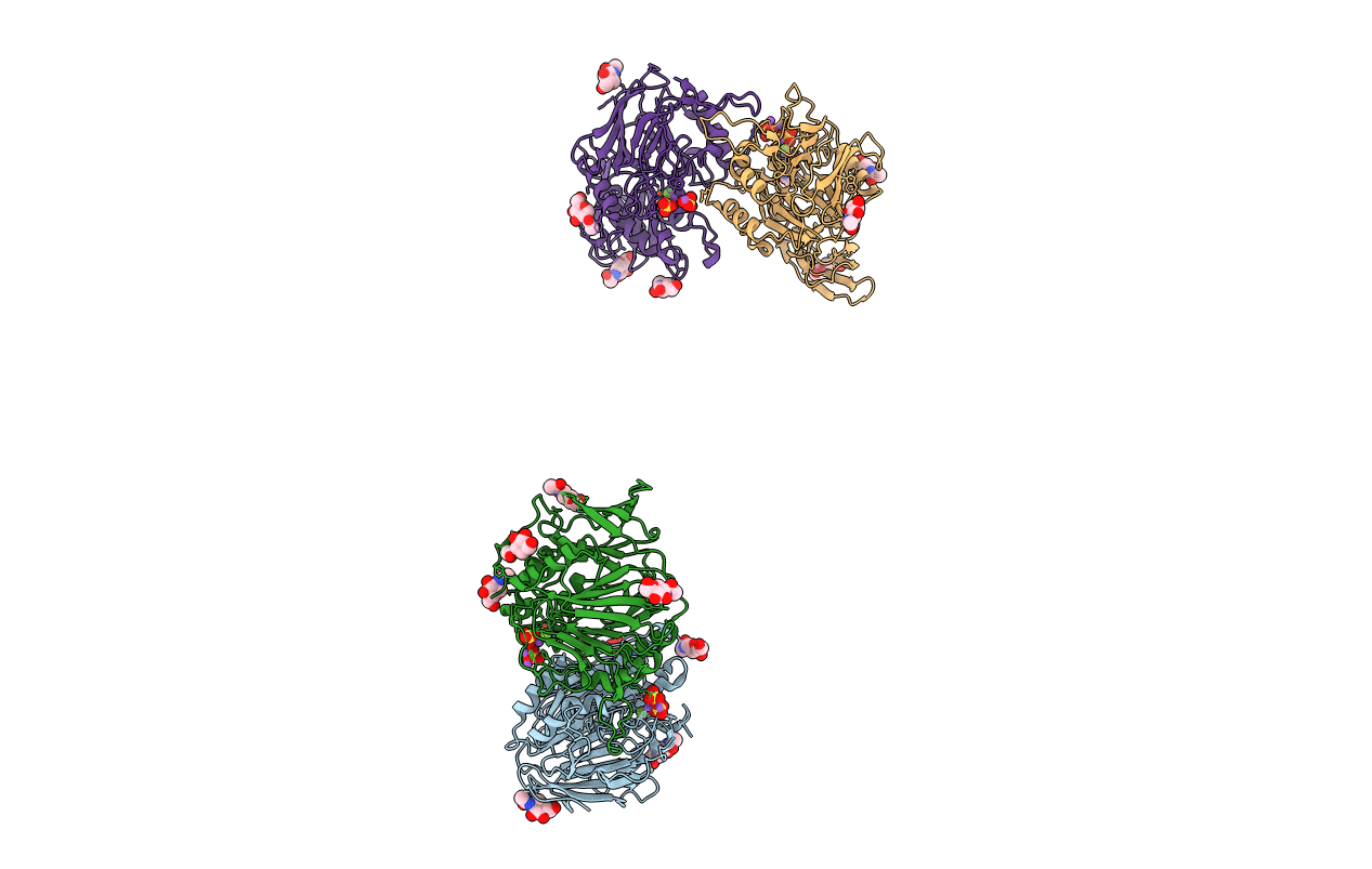 2QFP image