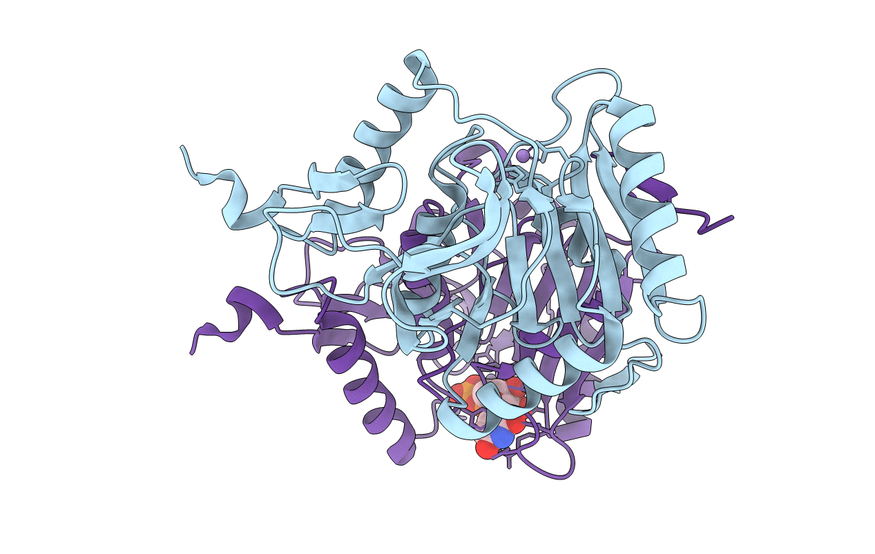 2QGI image