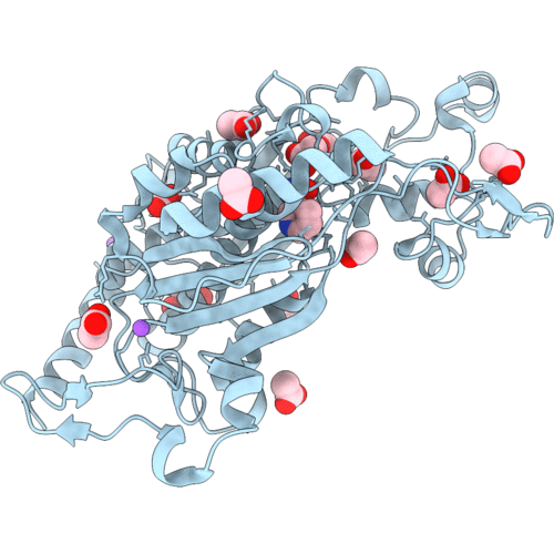 2QHF image