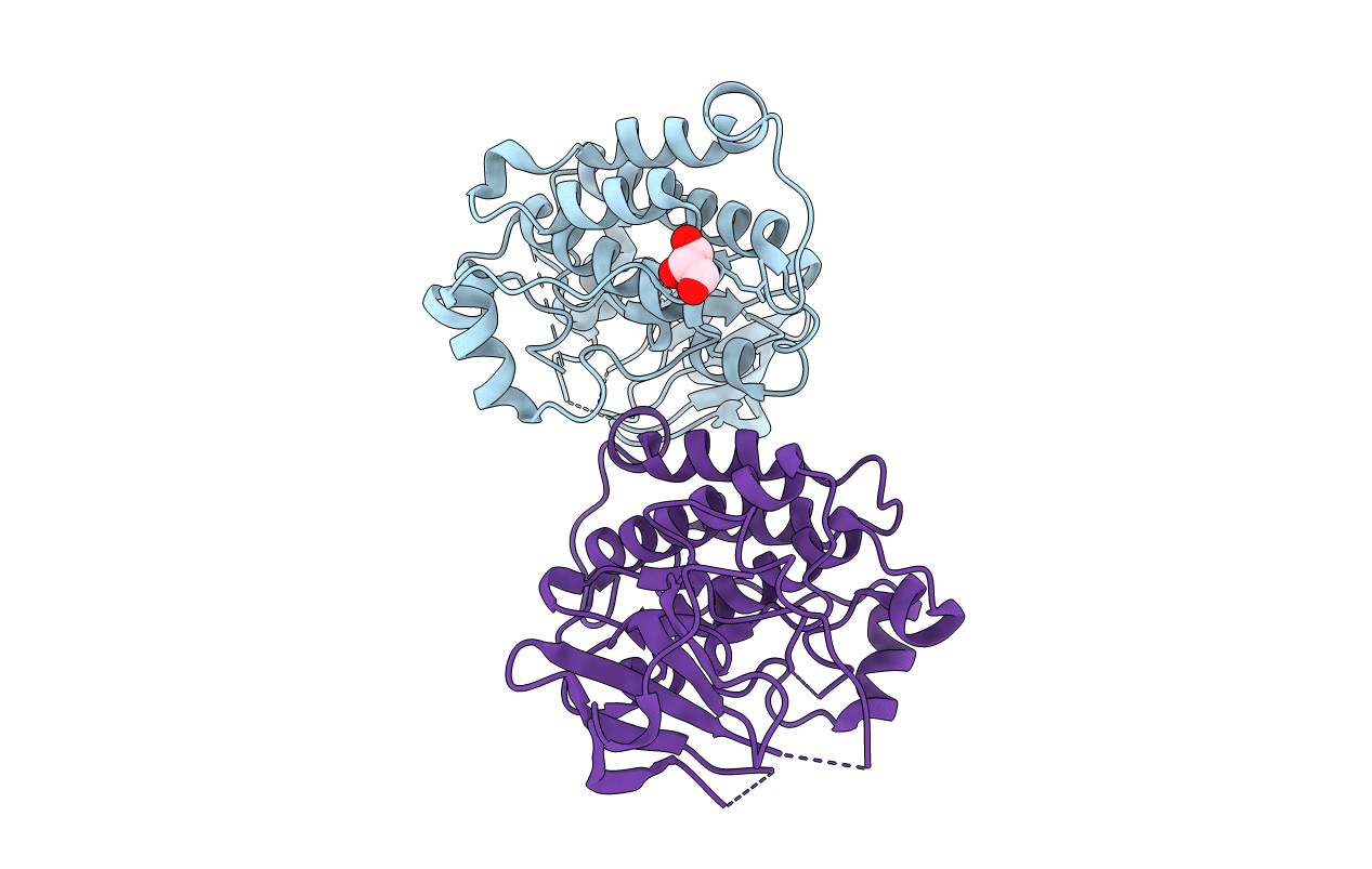 2QI8 image
