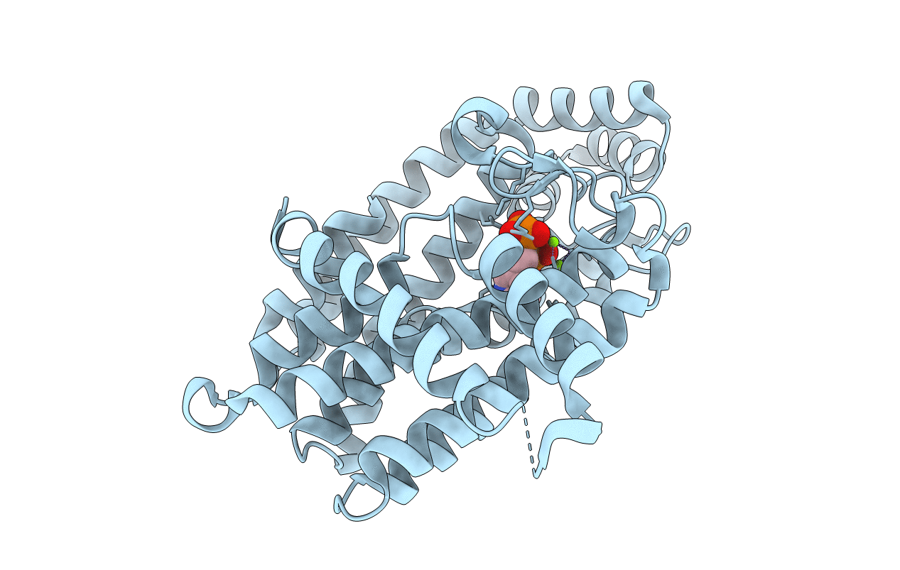 2QIS image
