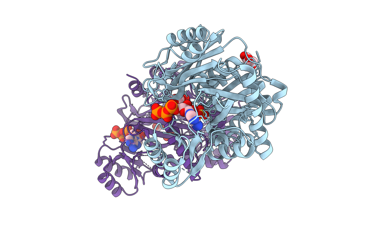 2QK4 image