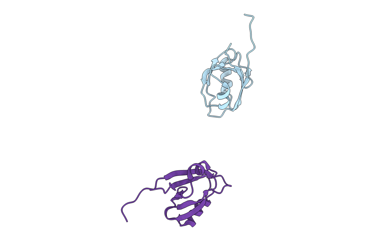 2QKV image