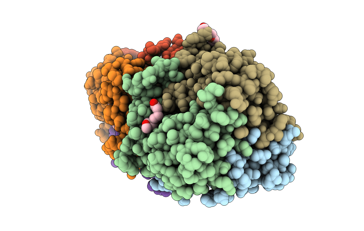 2QLP image