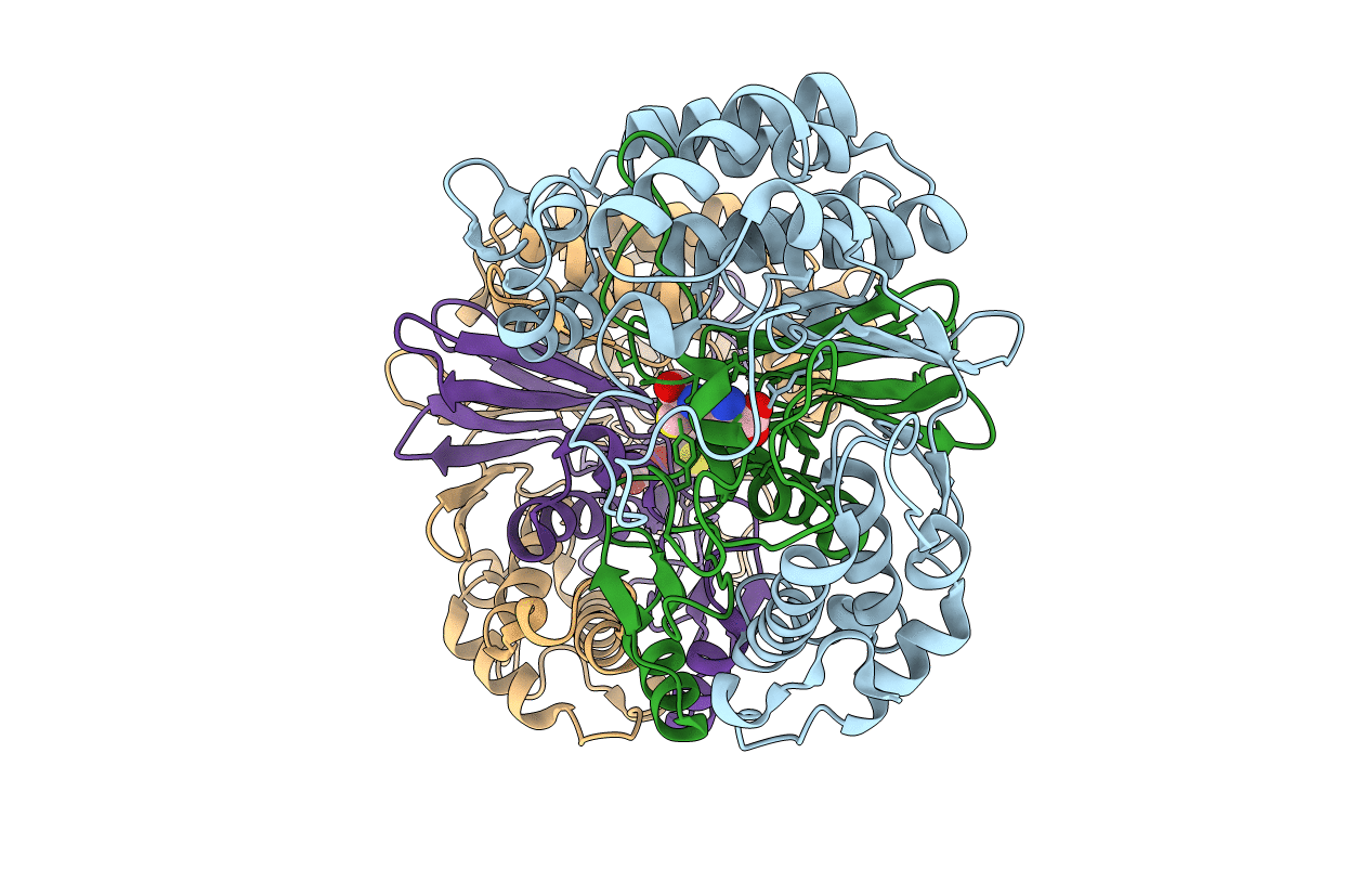 2QMC image