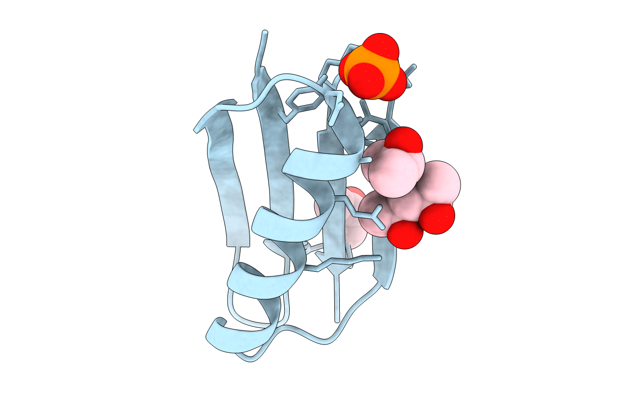 2QMT image