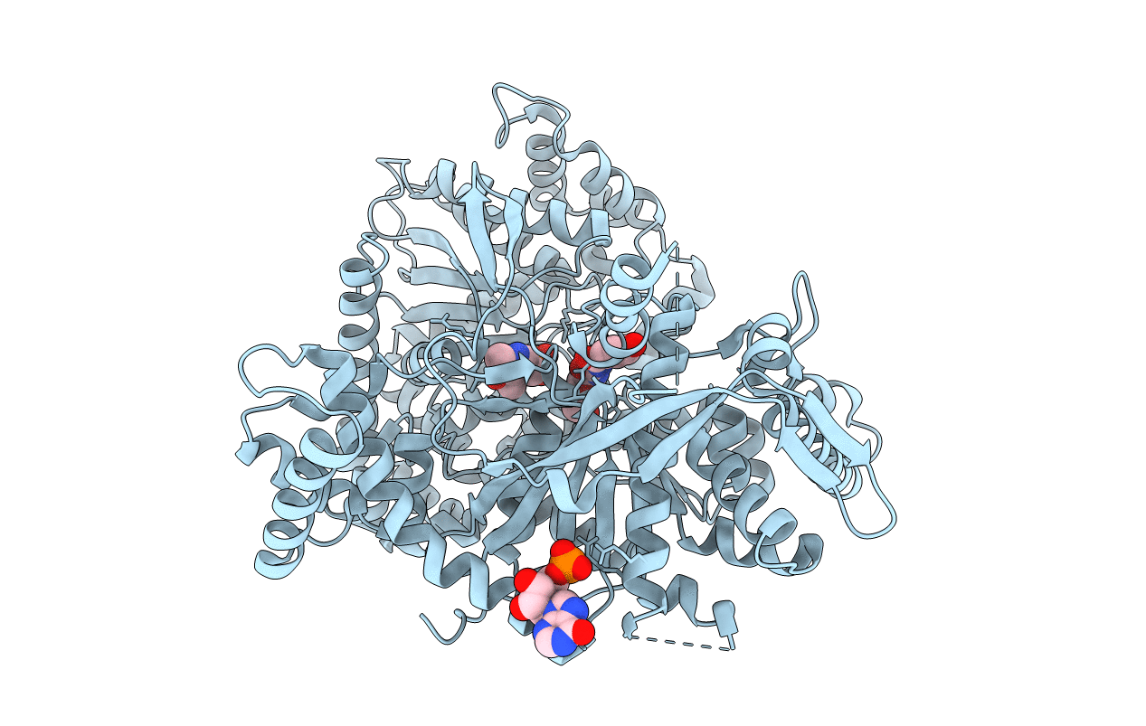 2QN7 image