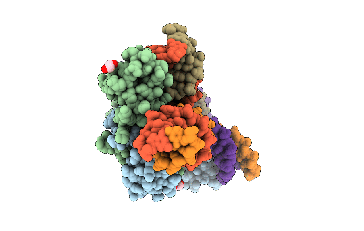 2QNC image
