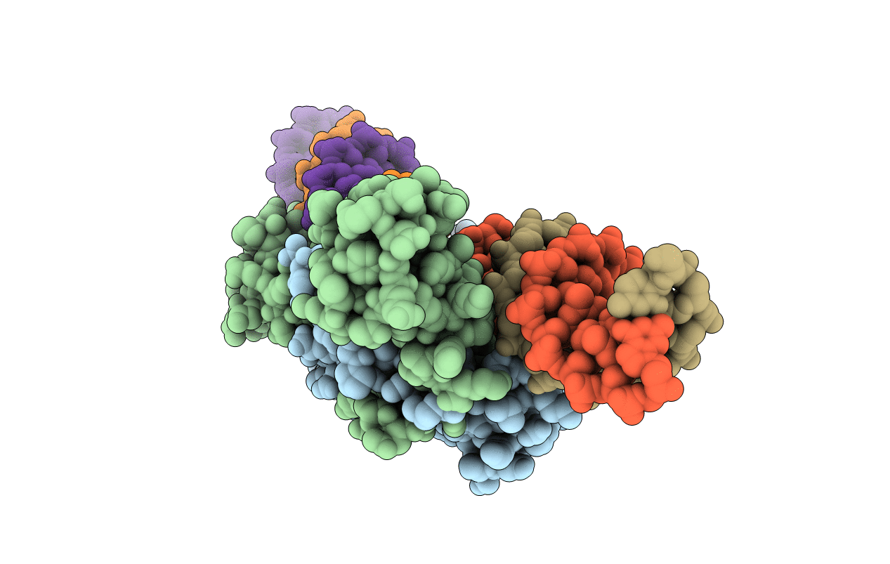 2QNF image
