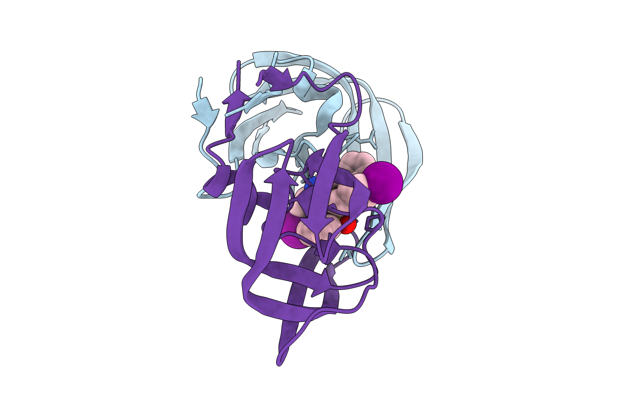 2QNP image