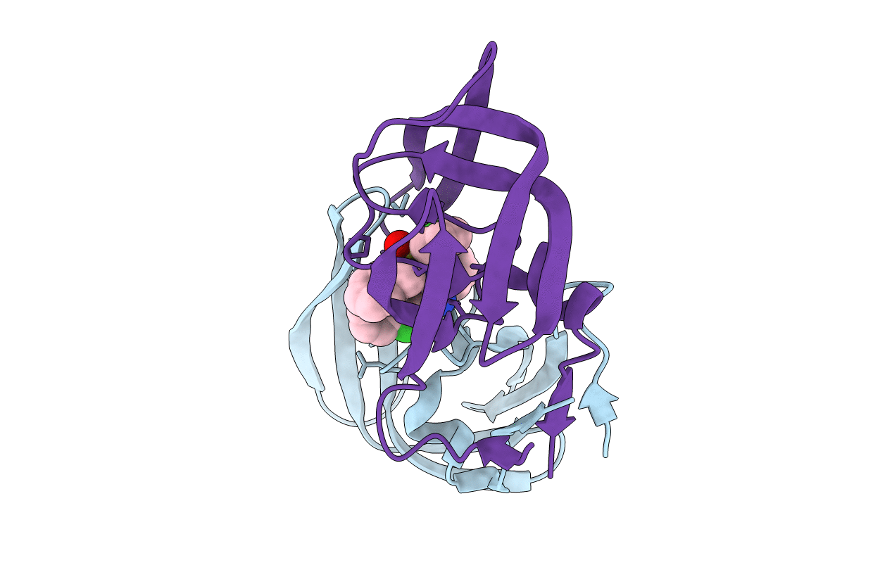 2QNQ image