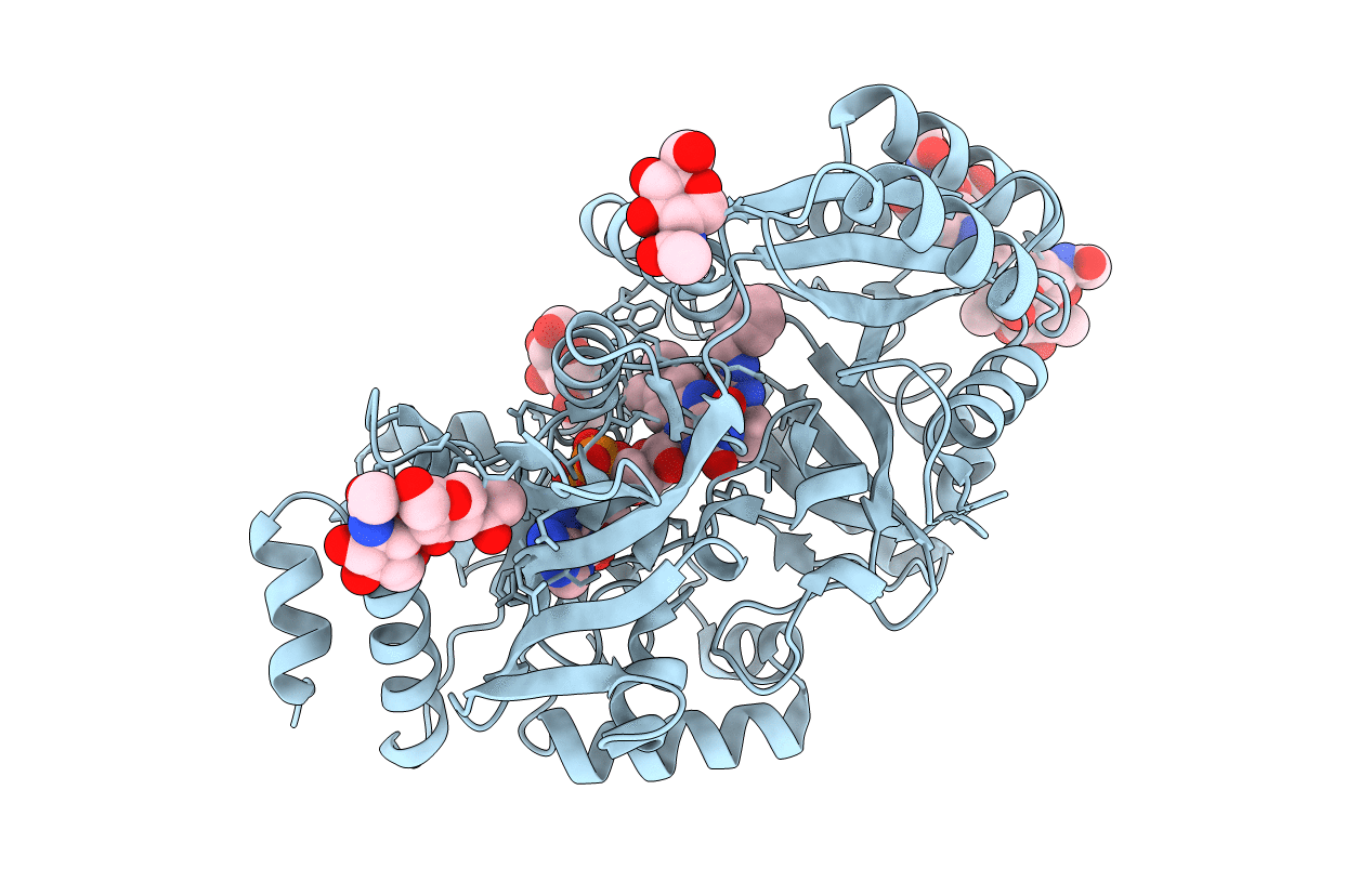 2QPM image