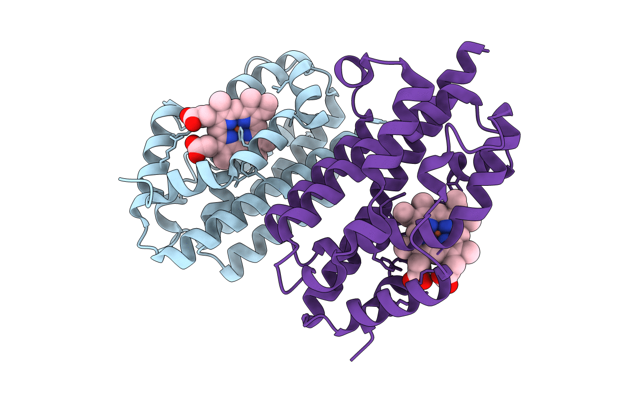 2QPP image