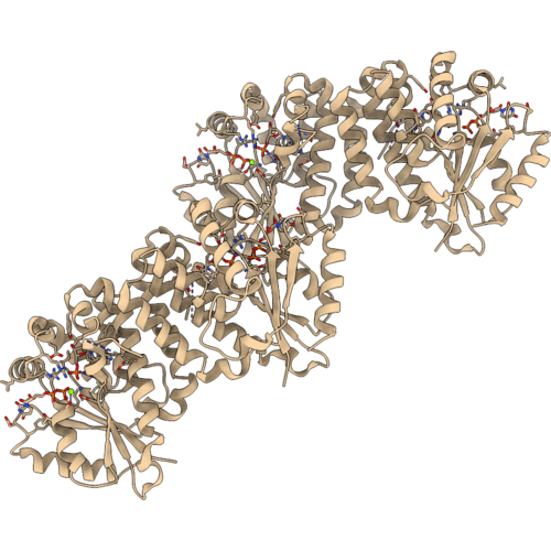 2QRN image