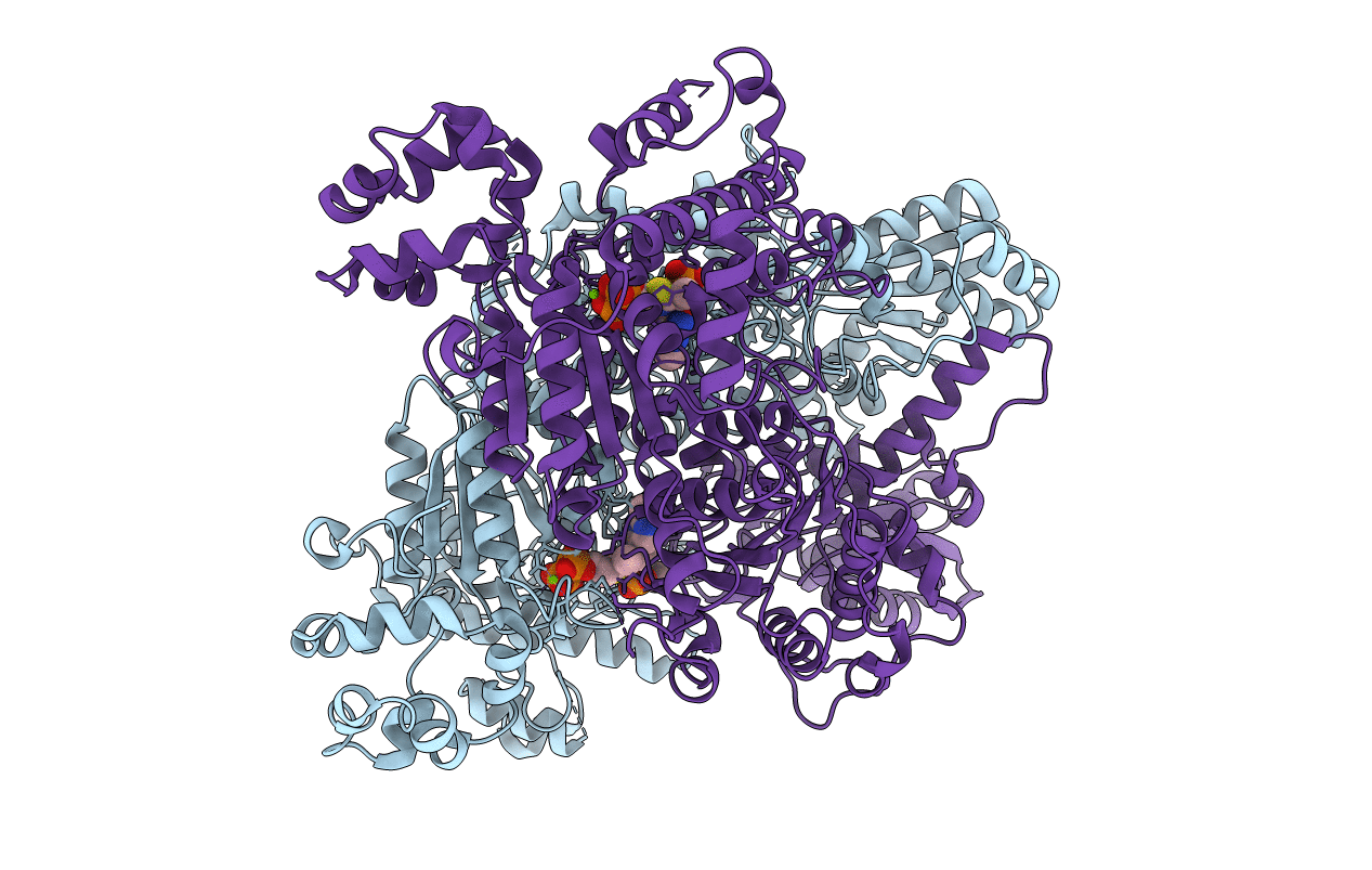 2QTC image