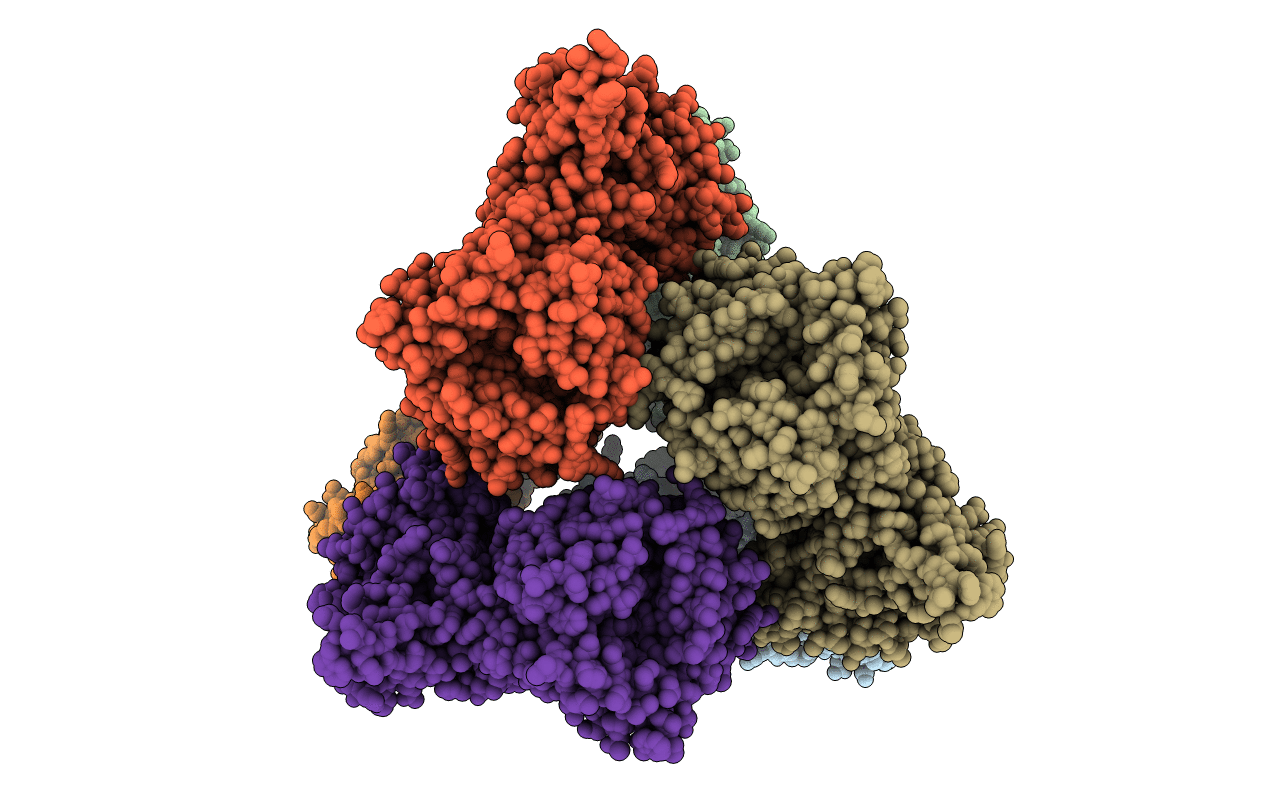 2QUB image