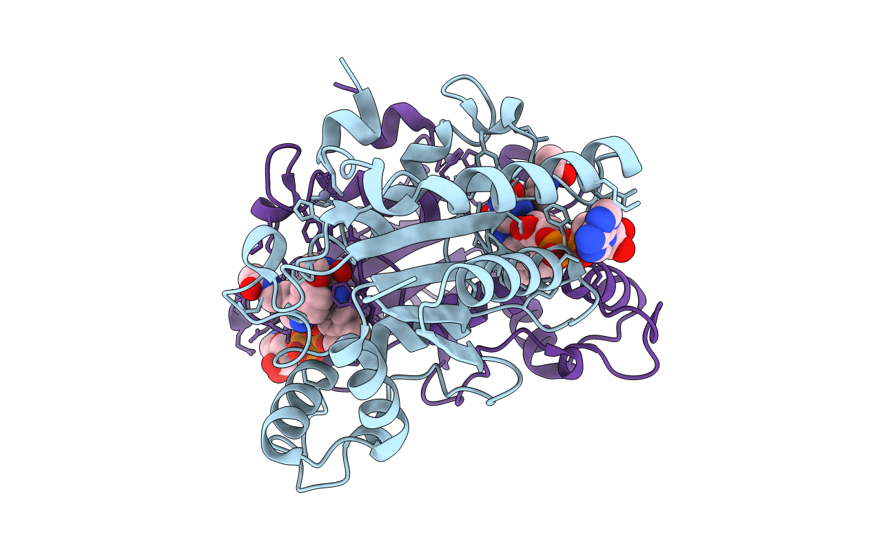 2QWX image