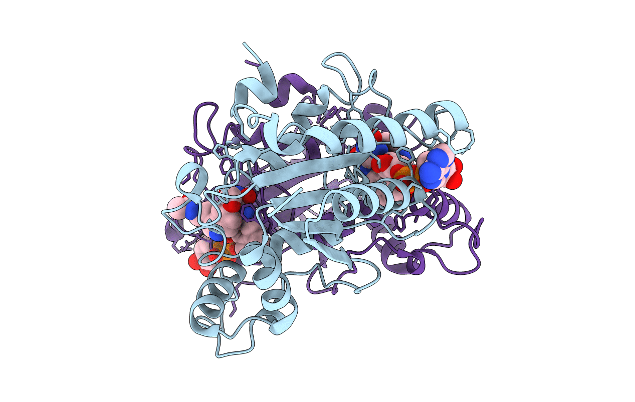 2QX4 image