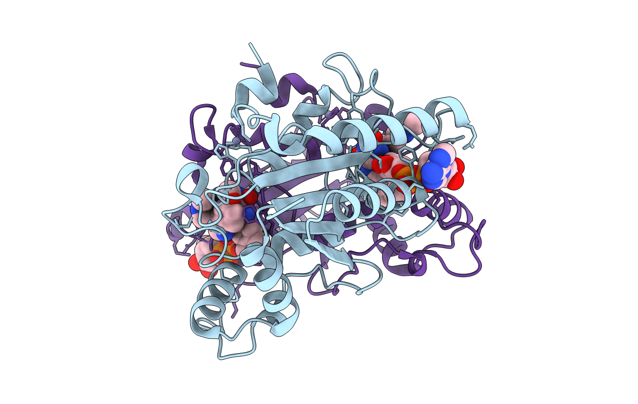 2QX6 image