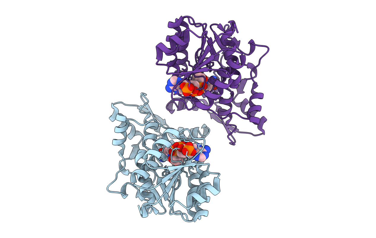 2QX7 image