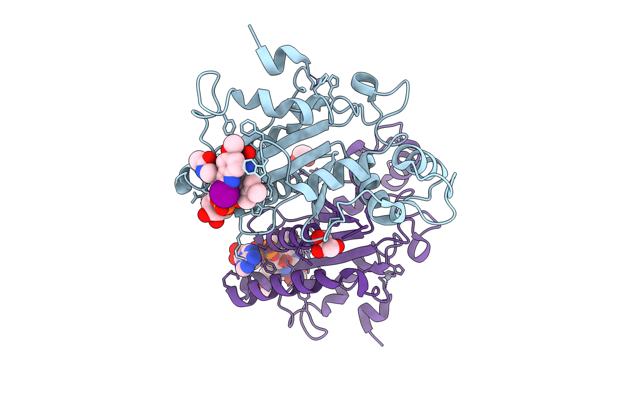 2QX8 image