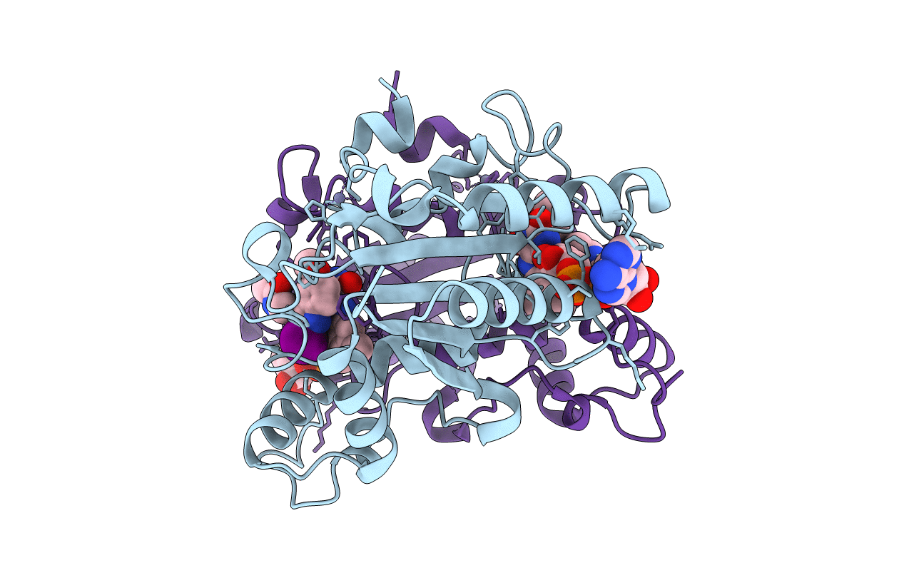2QX9 image