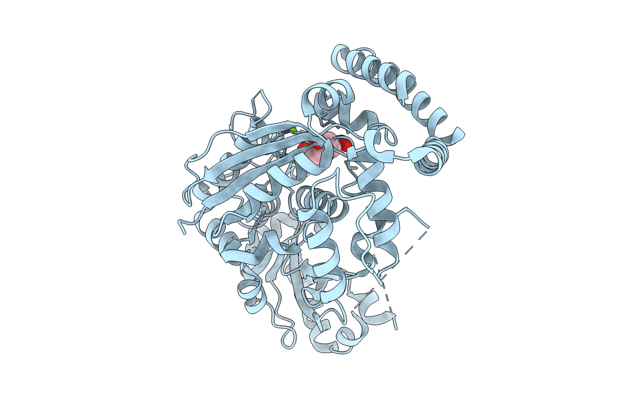 2QXF image