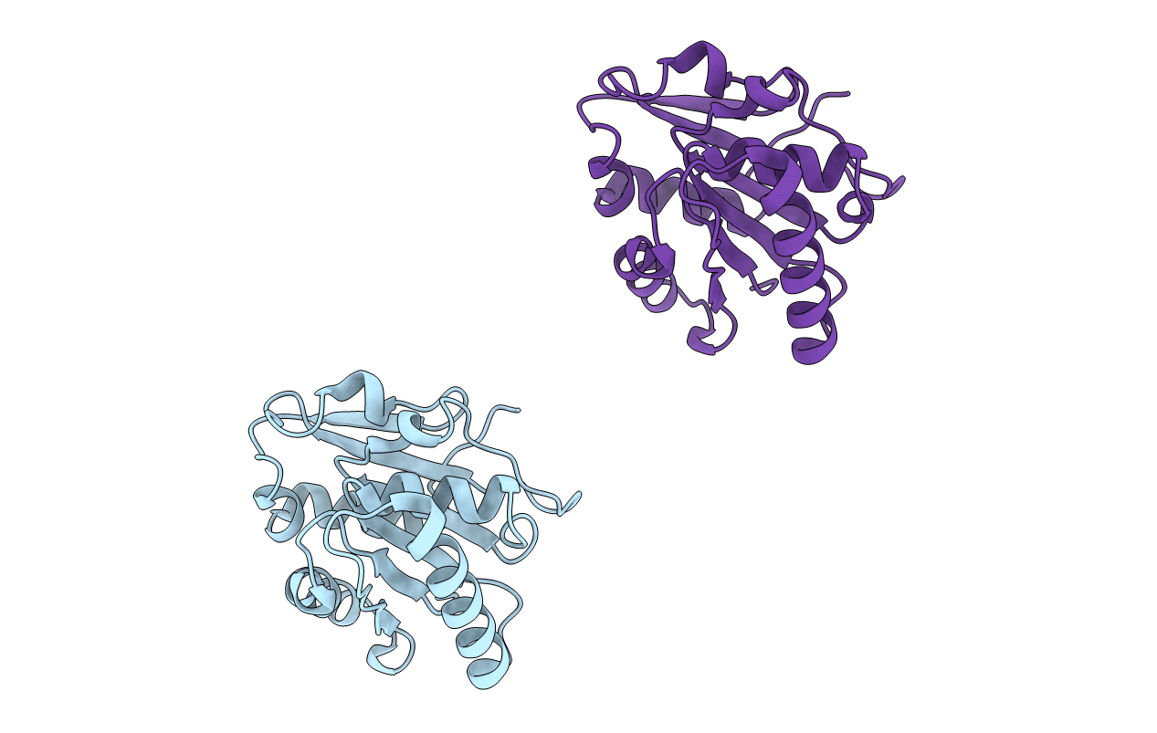 2QXT image