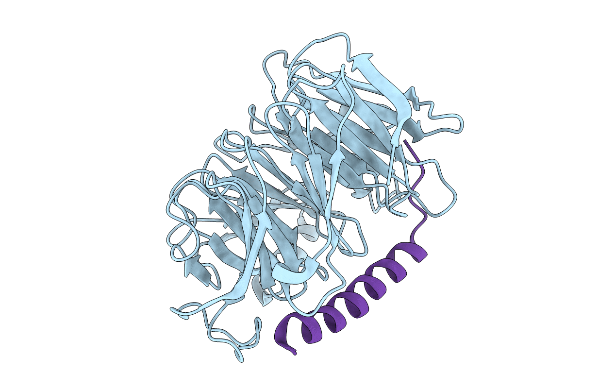 2QXV image