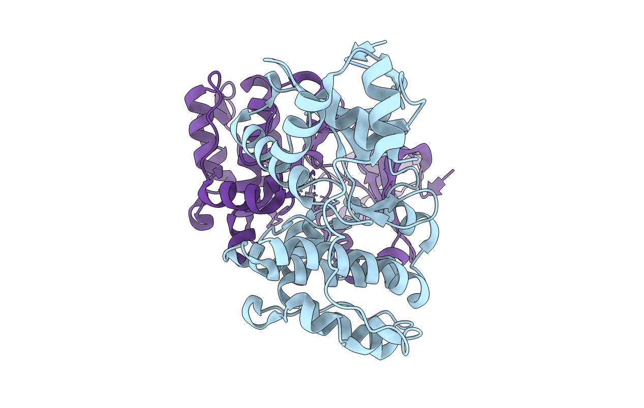 2R0I image