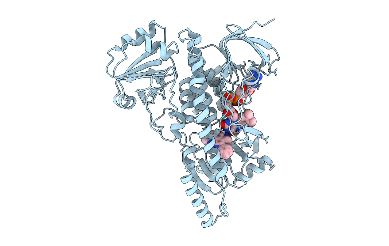 2R0P image
