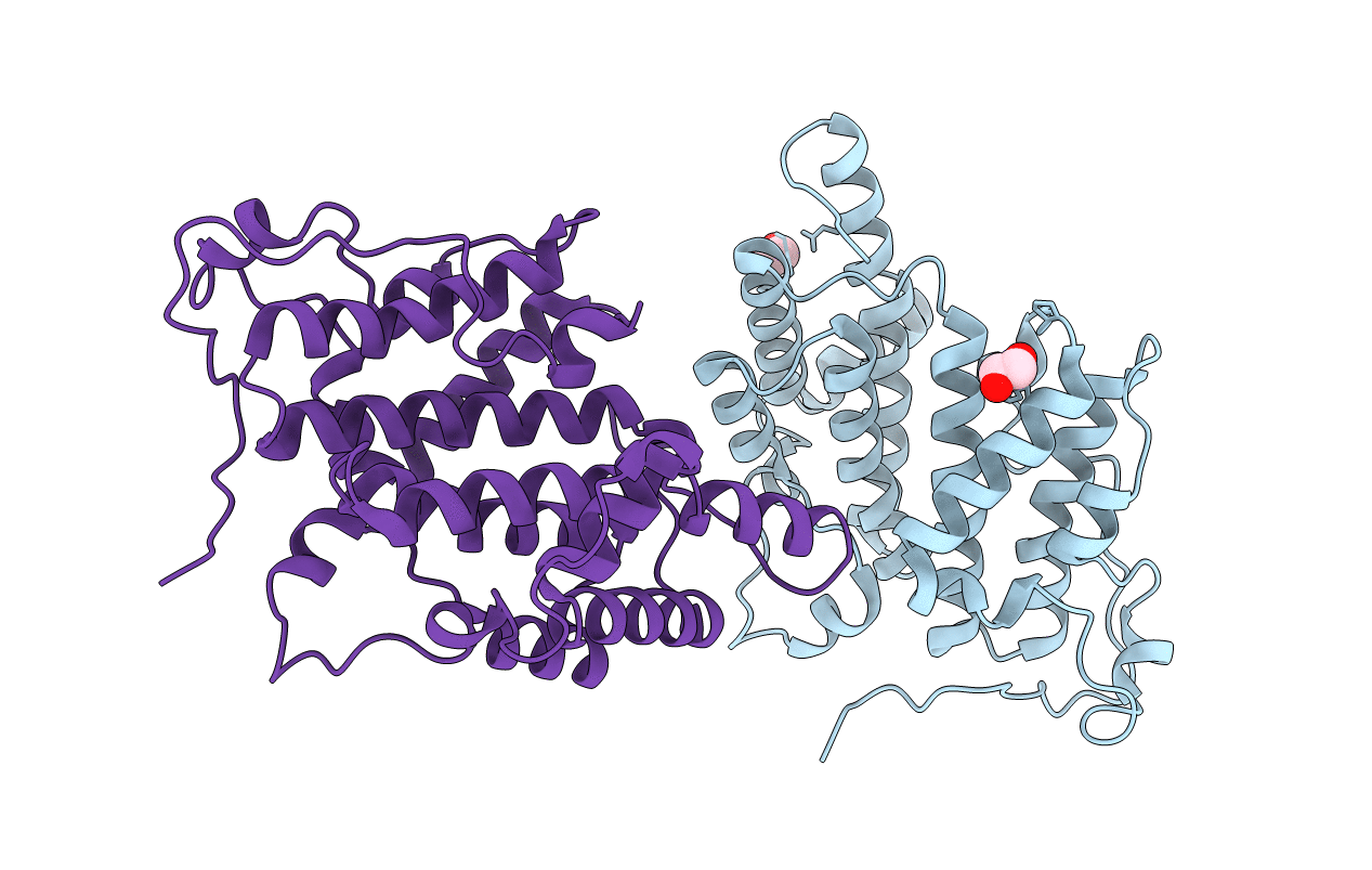 2R10 image