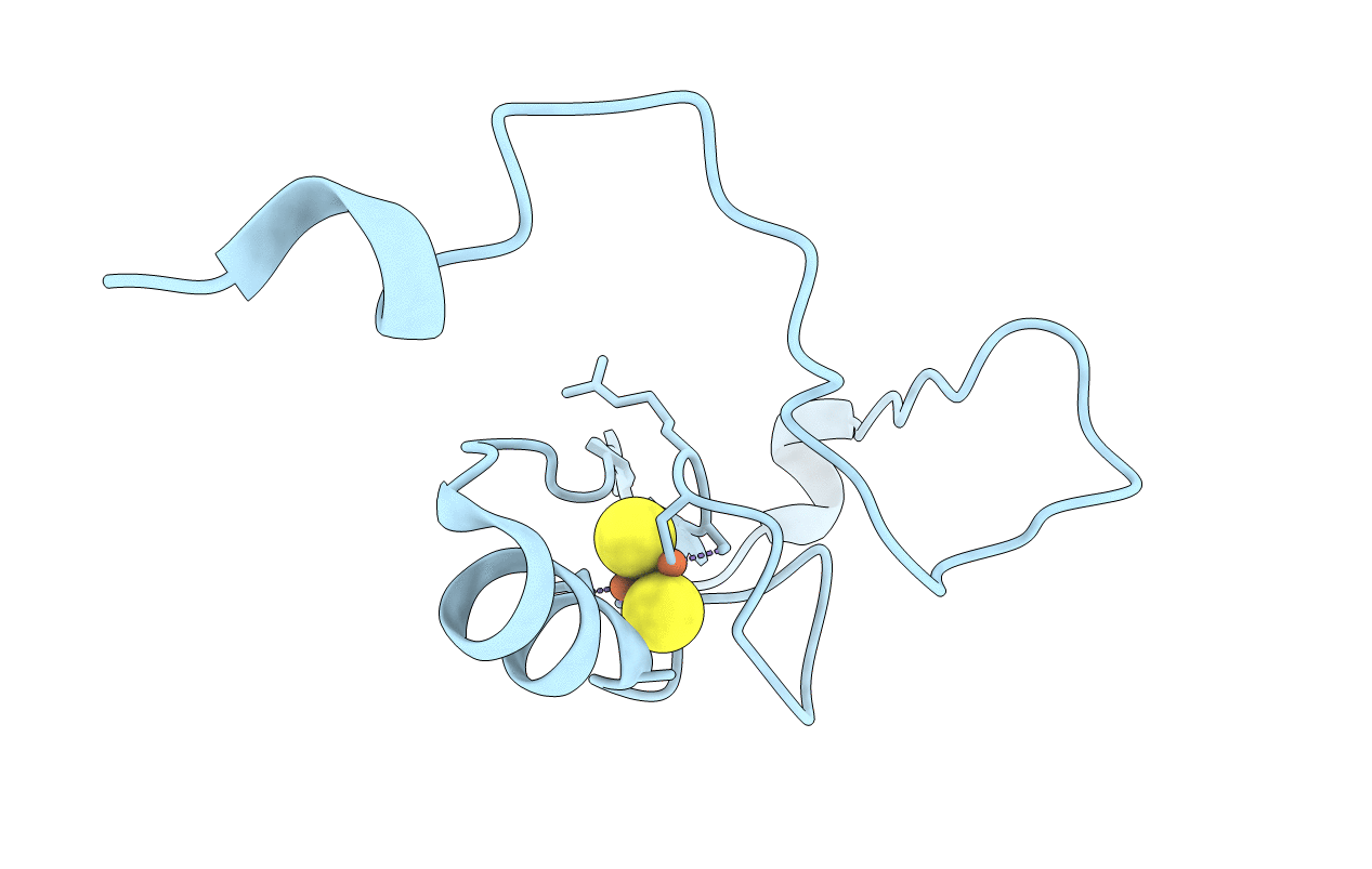 2R13 image