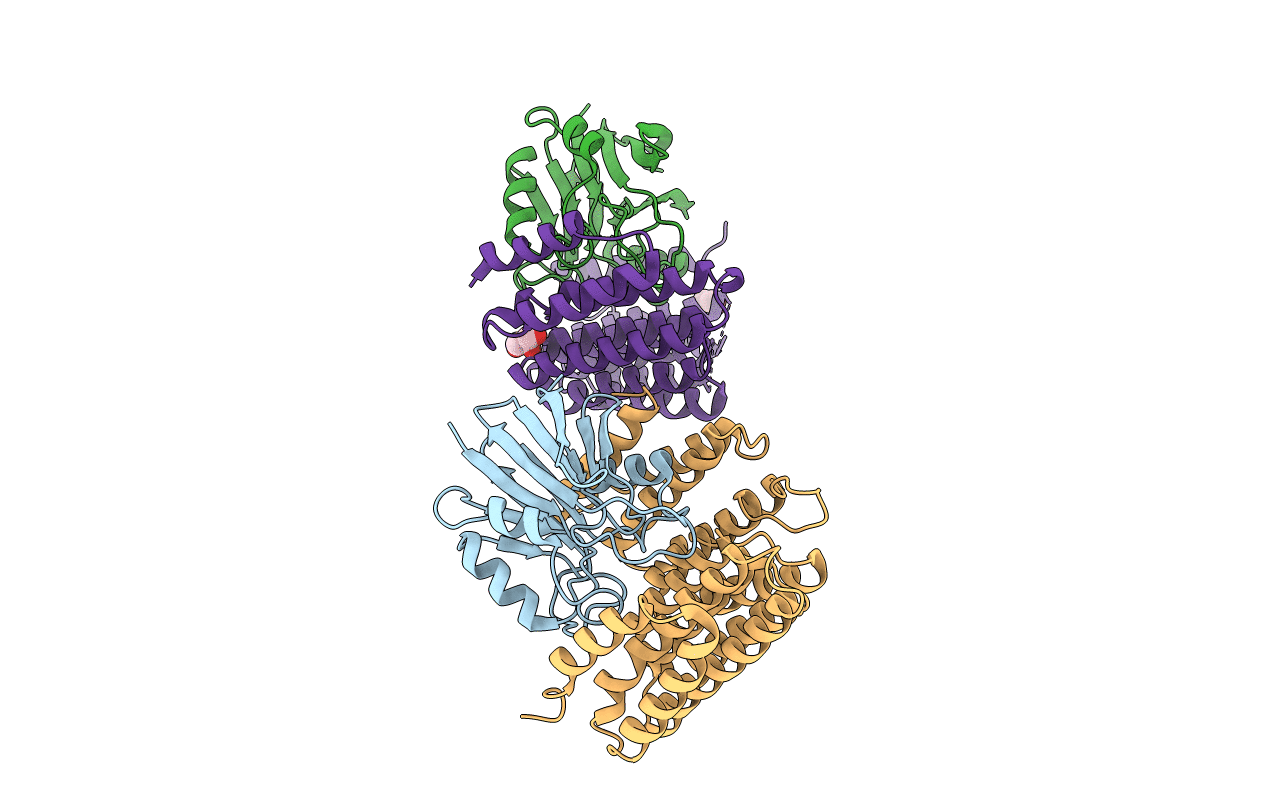 2R17 image