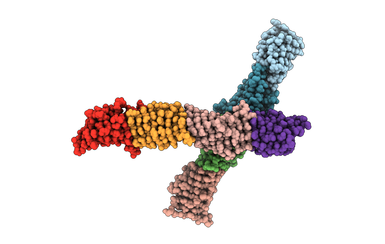 2R1A image