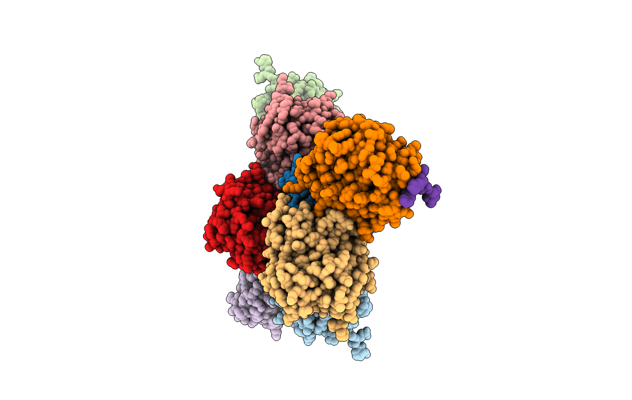 2R1D image