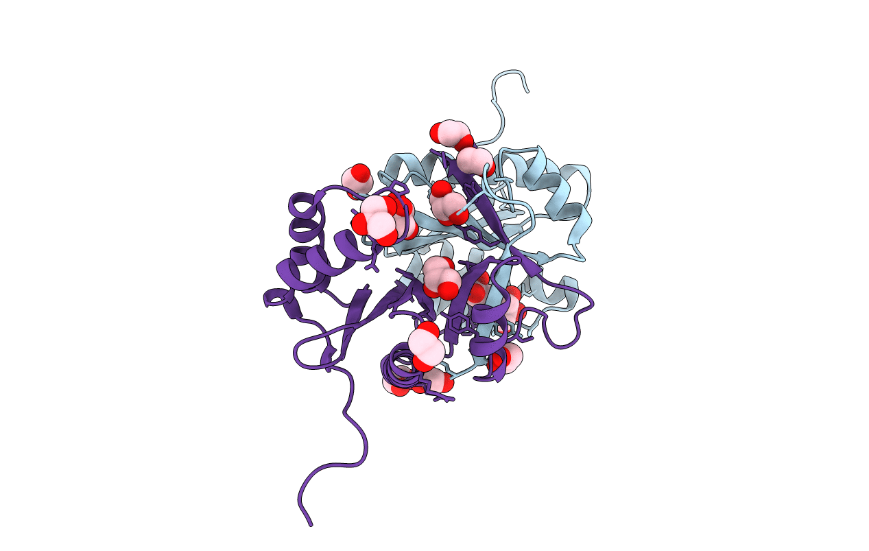 2R1I image