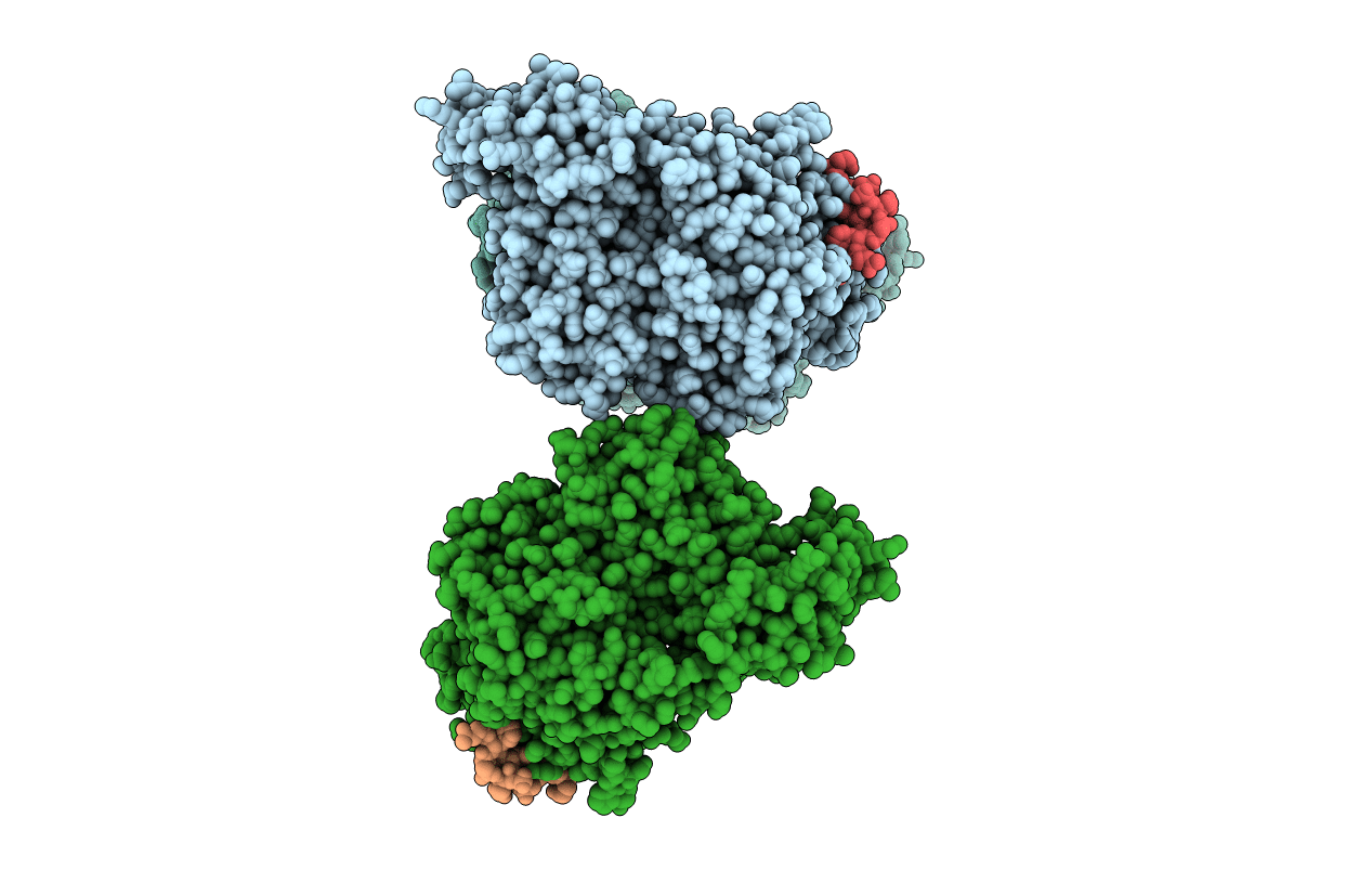 2R1R image
