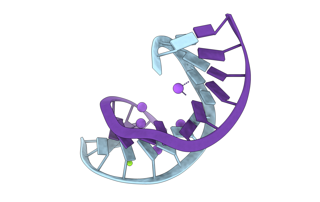 2R1S image