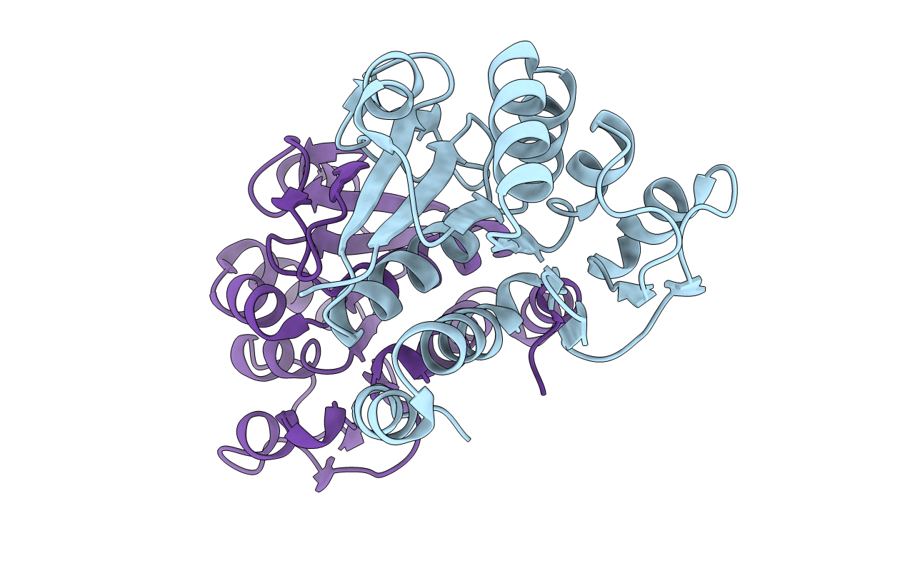 2R1T image