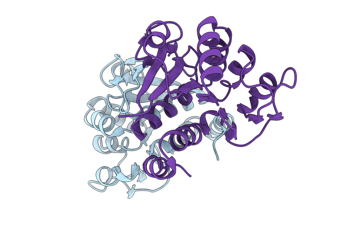 2R1U image