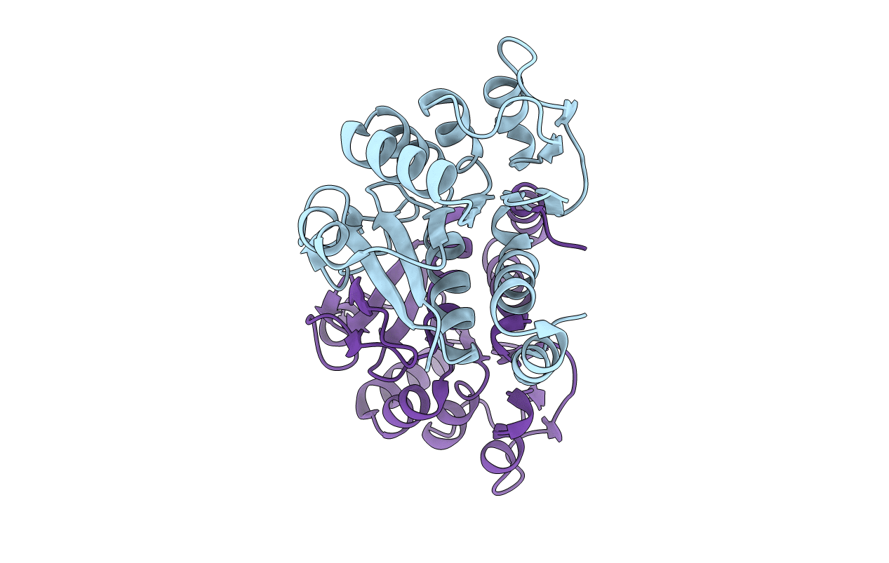 2R1V image