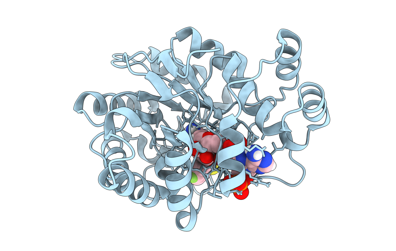 2R24 image