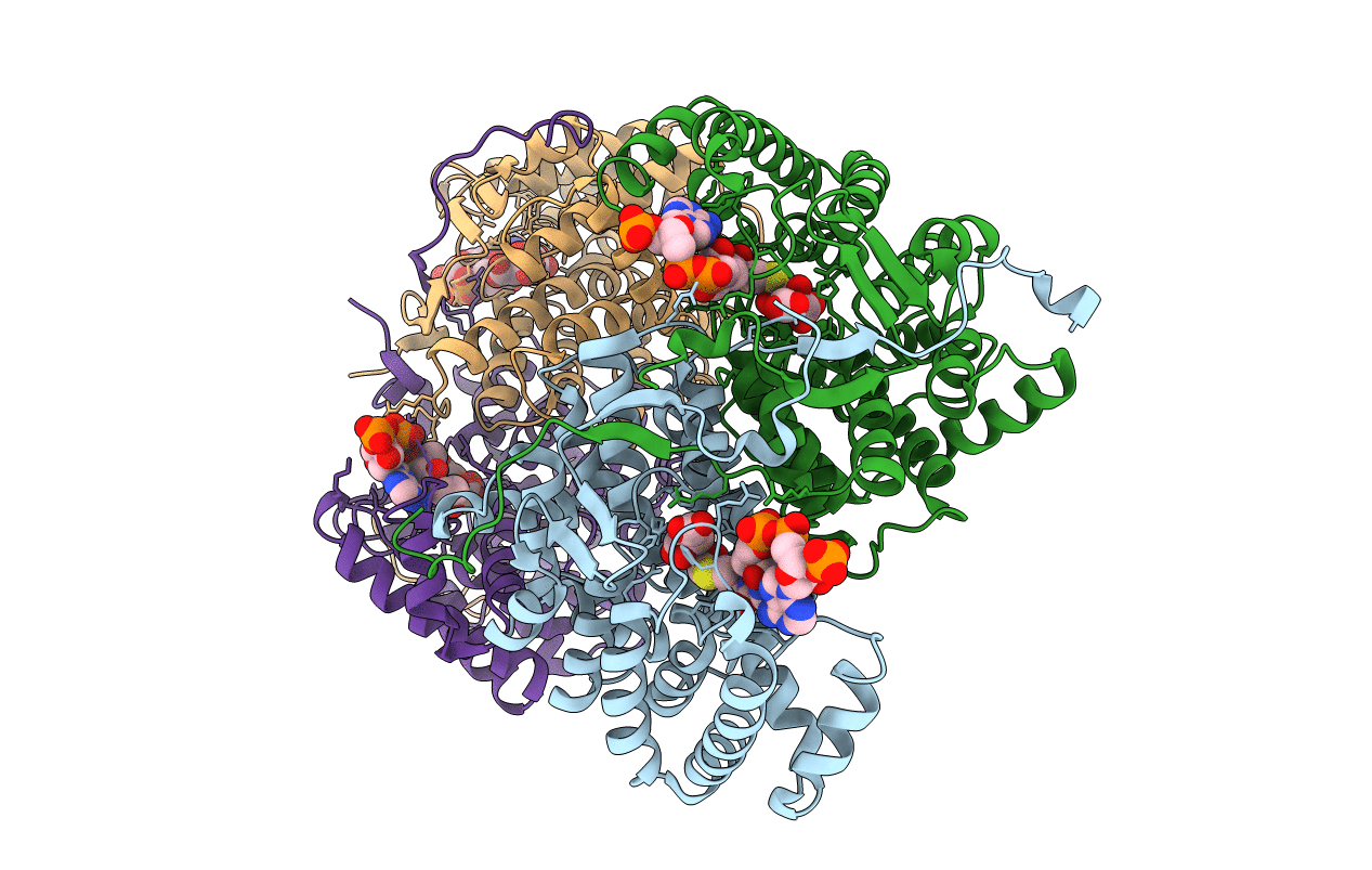2r26 image