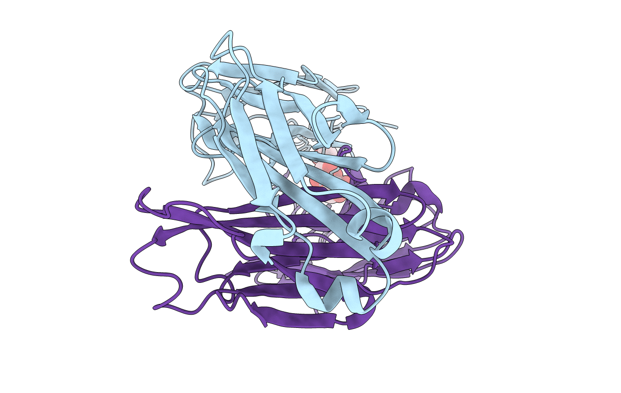 2R2E image