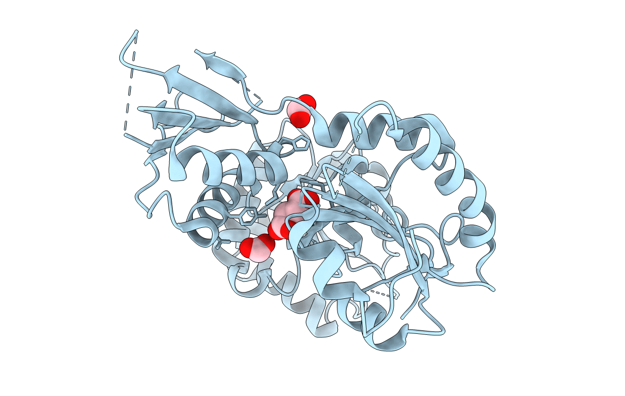 2r2j image