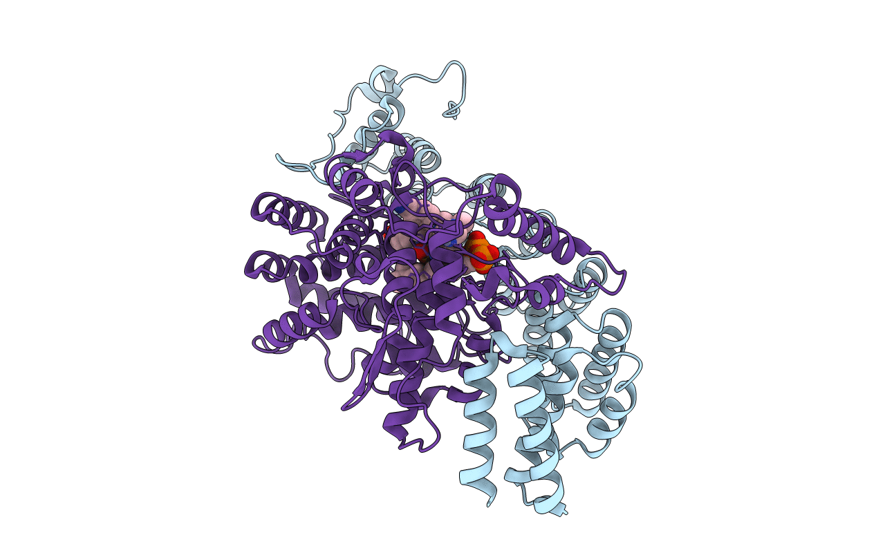 2R2L image